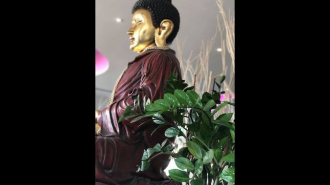 Bouddha à Sens