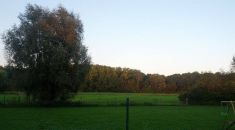 SUMMER CHANTILLY - Le Chantilly