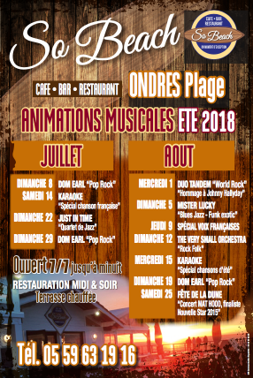 Animations musicales été 2018