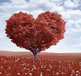 Menu Saint Valentin