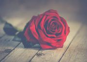 Menu Saint Valentin