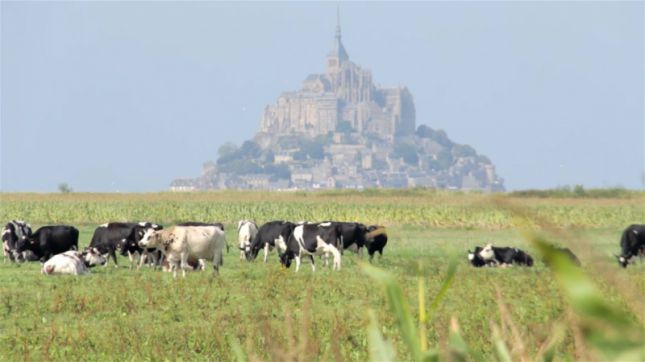 Restaurant La Mère Poulard - Mont-Saint-Michel