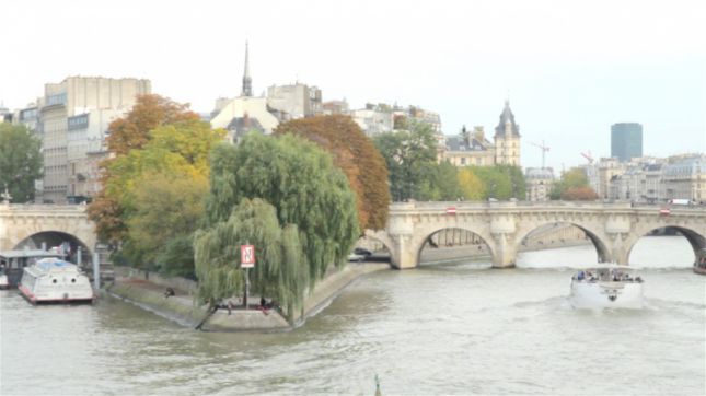 Restaurant Les Bouquinistes - Paris