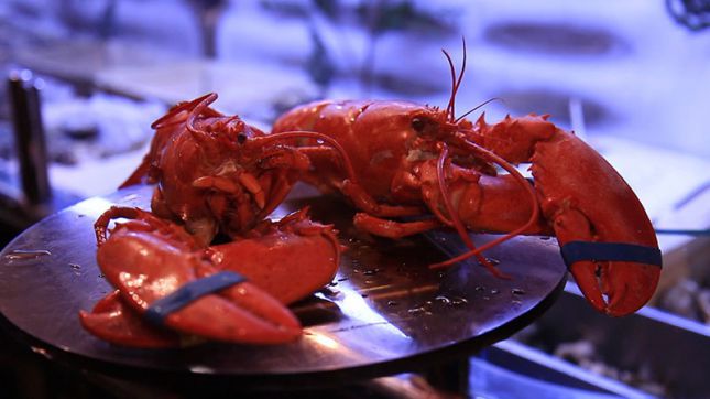 Restaurant Chez Flottes - Paris