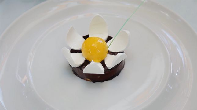 Restaurant Beau Rivage à Condrieu