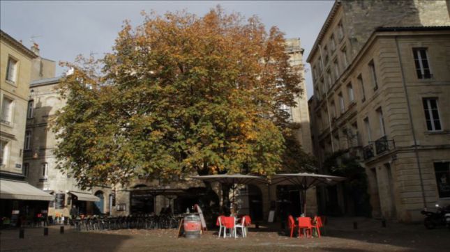 La Terrasse Saint Pierre à Bordeaux