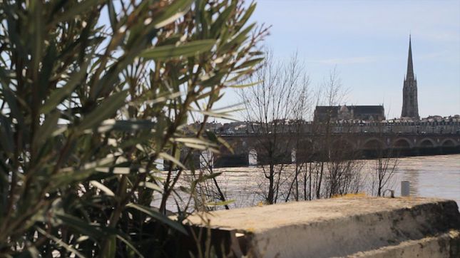 Siman à Bordeaux