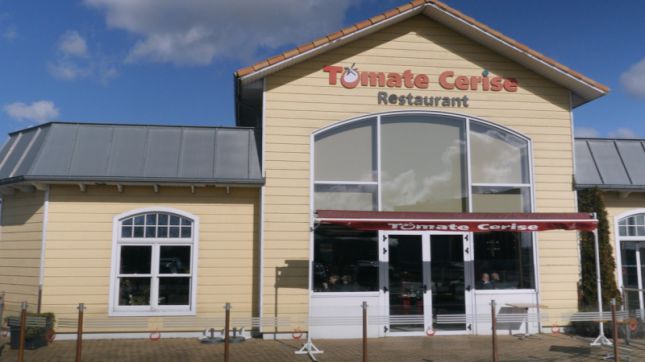 Tomate Cerise - Noyelles à Noyelles-Godault