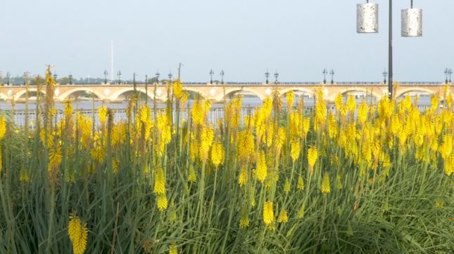 La Brasserie Des Douanes à Bordeaux