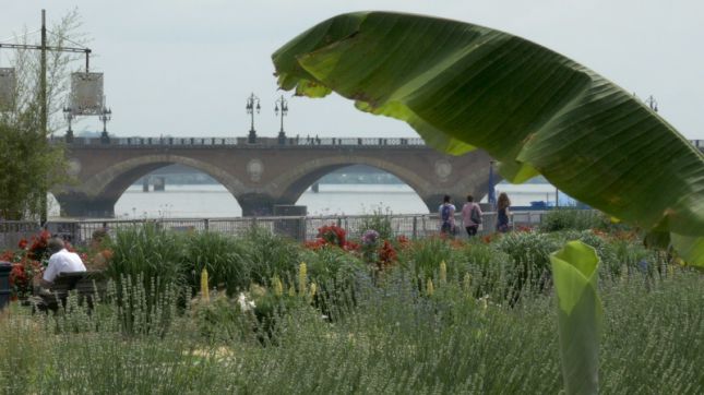 La Brasserie Des Douanes à Bordeaux