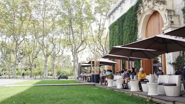 L'Insense à Montpellier