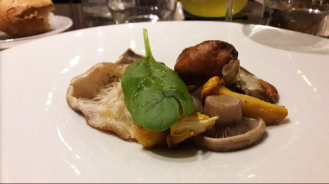 Toyo à Paris