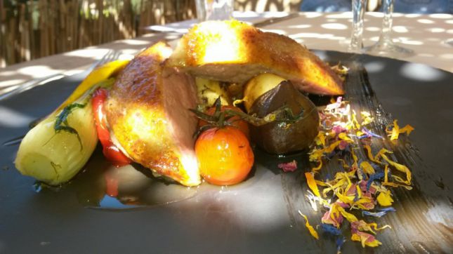 Calanque de Figuerolles- Rif à Ciotat