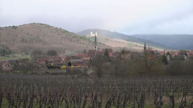 Restaurant Gilg à Mittelbergheim
