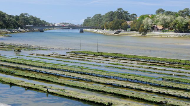 La Tétrade Côté Lac à Soorts-Hossegor