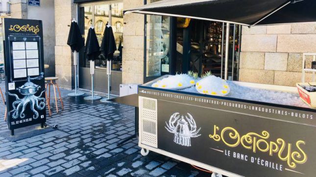 Octopus à Nantes