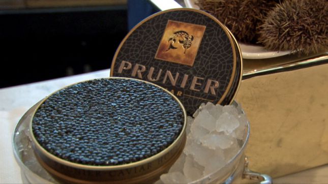 Prunier à Paris