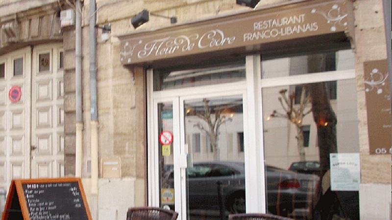 Fleur de cèdre à Bordeaux