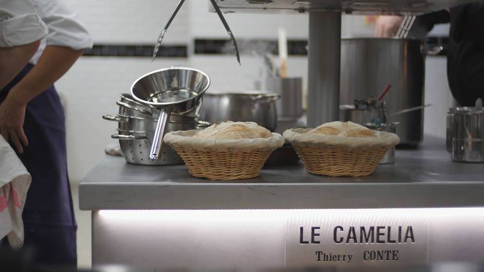 Le Camelia à Bougival