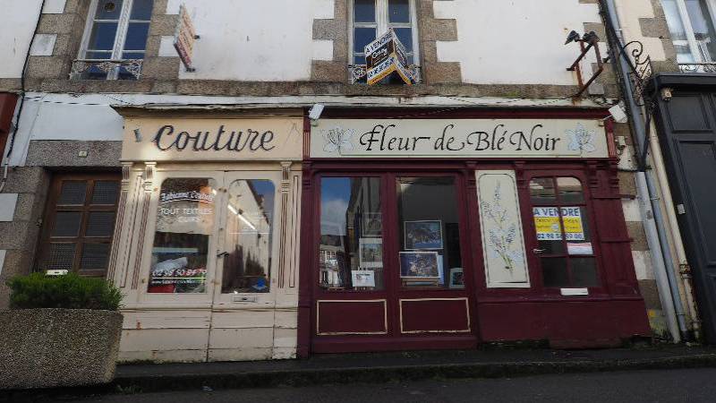 La fleur de blé noir à Concarneau