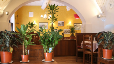 Restaurant Le romarin - Nice